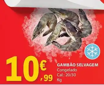 E.Leclerc Gambão selvagem promoção