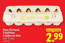Lidl Ovos 12 Classe S Galinhas Criadas no Solo promoção