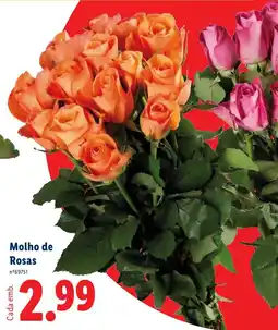 Lidl Molho de Rosas promoção