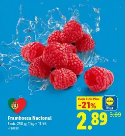 Lidl Framboesa Nacional promoção