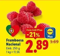 Lidl Nacional - framboesa promoção