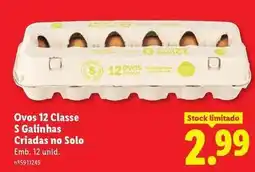 Lidl Ovos 12 classe promoção