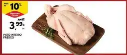 Continente Bom dia Pato - inteiro fresco promoção