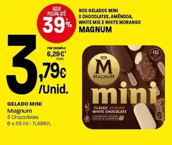 Gelado mini magnum