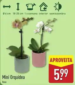 ALDI Mini Orquídea Vaso promoção