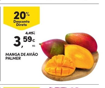 Continente Manga de Avião Palmer promoção