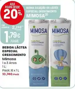 Intermarché Bebida láctea especial crescimento mimosa promoção