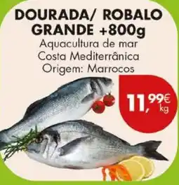 Pingo Doce Dourada/ Robalo grande promoção