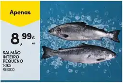 Continente Salmão inteiro pequeno promoção