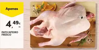 Continente Pato inteiro fresco promoção