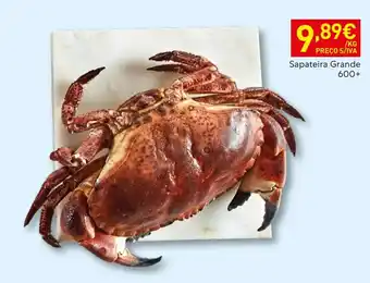 Recheio Sapateira Grande promoção