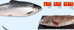 Recheio Salmão 4/5, 5/6 promoção