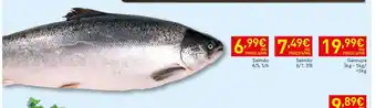 Recheio Salmão 4/5,5/6 promoção