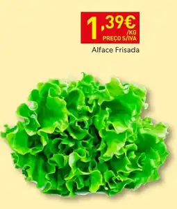 Recheio Alface Frisada promoção