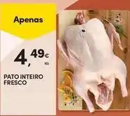 Continente Bom dia Pato - inteiro fresco promoção