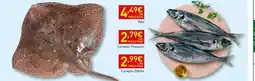Recheio Cache de whisky promoção