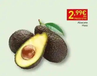 Recheio Abacate hass promoção