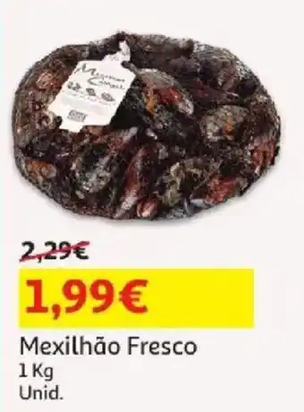 Auchan Mexilhão Fresco promoção