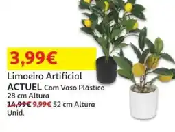 Auchan Limoeiro Artificial ACTUEL promoção