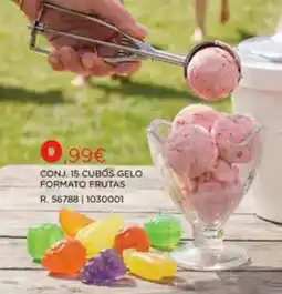 Espaço Casa Conj. 15 cubos gelo formato frutas promoção