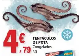 E.Leclerc Tentáculos de pota congelados promoção