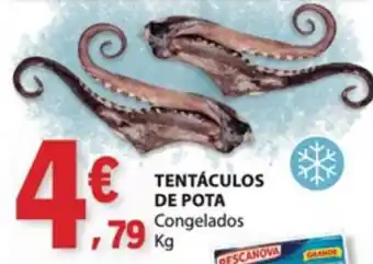 E.Leclerc Tentáculos de pota congelados promoção