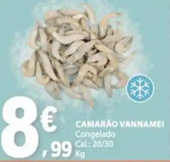 E.Leclerc Camarão vannamei promoção