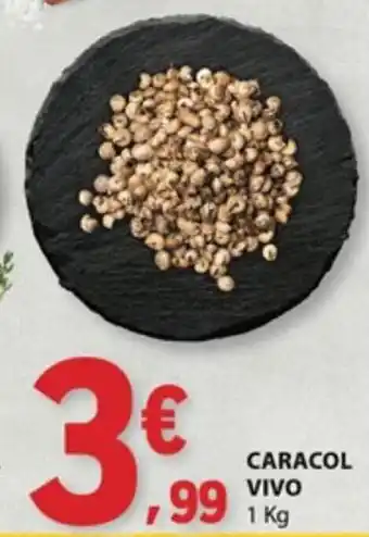 E.Leclerc Caracol vivo promoção