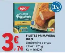 E.Leclerc filetes primavera iglo promoção