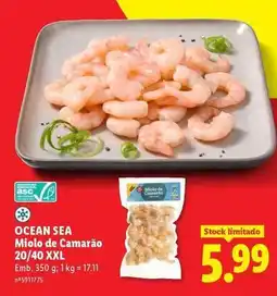 Lidl Xxl - ocean sea miolo de camarão 20/40 xxl promoção