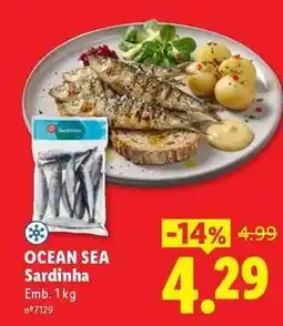 Lidl Ocean sea - sardinha promoção