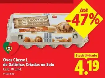 Lidl Ovos classe l de galinhas criadas no solo promoção