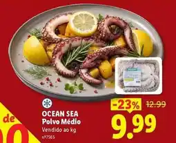 Lidl Ocean sea - polvo medio promoção