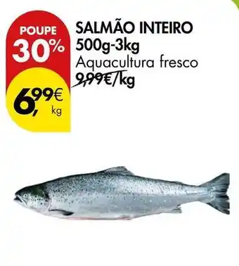 Aquacultura - salmão inteiro