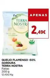 El Corte Inglés Terra nostra - queijo flamengo -50% gordura promoção