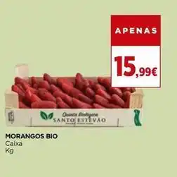 El Corte Inglés Morangos bio promoção