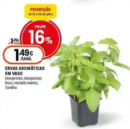 Intermarché Ervas aromáticas em vaso promoção