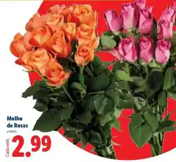 Lidl Molho de Rosas promoção