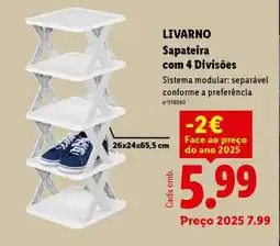 Lidl LIVARNO Sapateira com 4 Divisões promoção