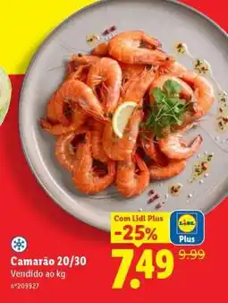 Lidl Camarão 20/30 promoção