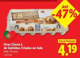 Lidl Ovos Classe L promoção