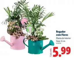 Lidl Regador com Flores promoção