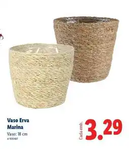Lidl Vaso Erva Marina promoção