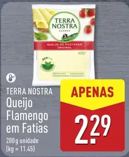 ALDI Terra nostra queijo flamengo em fatias promoção