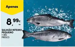 Continente Salmão inteiro pequeno promoção