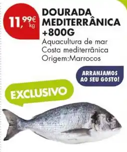 Pingo Doce Dourada mediterrânica promoção