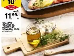 Continente Bom dia Gambao grande da argentina selvagem 20/30 congelado promoção