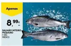 Continente Bom dia Salmão inteiro pequeno promoção