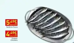 Recheio Sardinha fresca promoção
