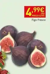 Recheio Figo fresco promoção